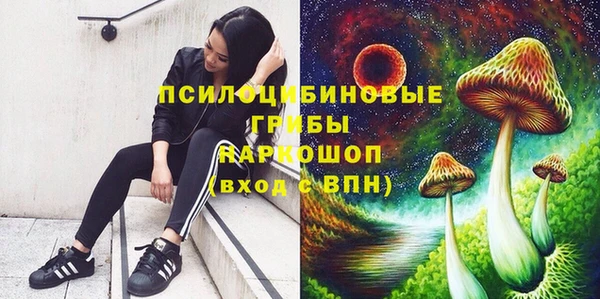 хмурый Белоозёрский