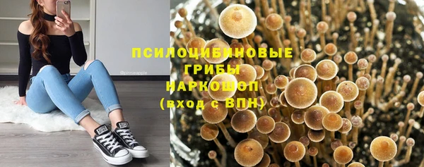 хмурый Белоозёрский